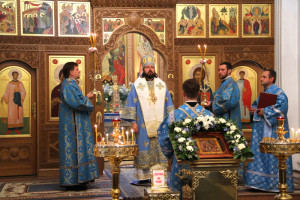 сосовыйбор